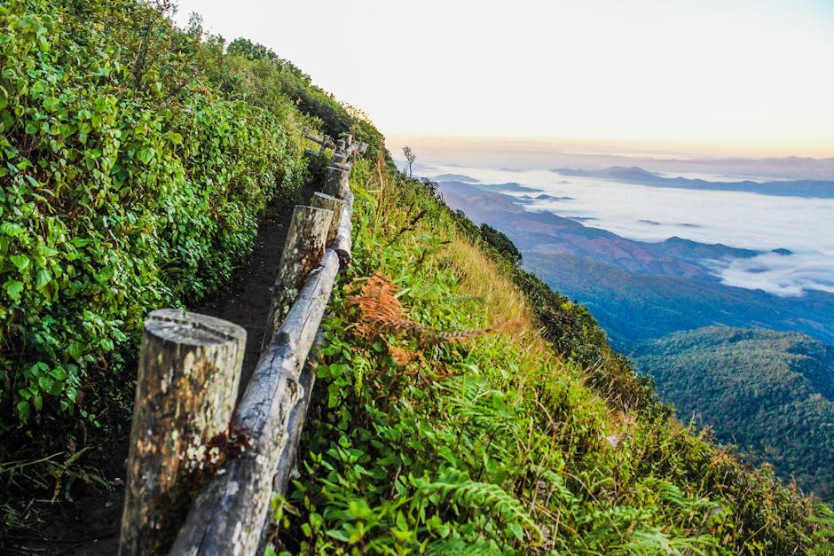 Outdoor Activities in the Highlands: From Gentle Walks to Challenging Hikes